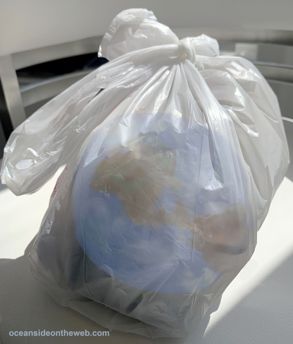 plastic bags_pollution